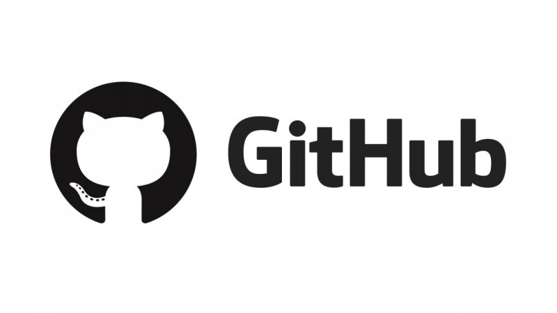 github.com Official Logo