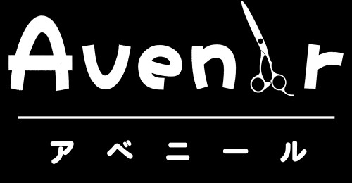 avenir-salon.com Image