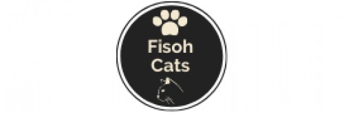 fisoh.com Image