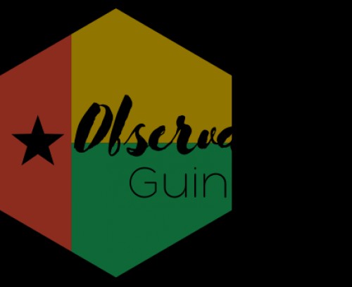 observateur-guinee.com Image