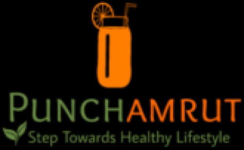 punchamrut.com Image