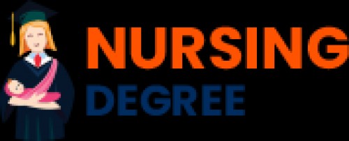 rn-nursingprograms.website Image