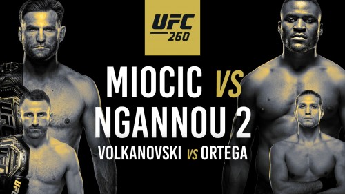 theufc260.com Image