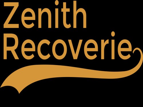 zenithrecoveries.com Image