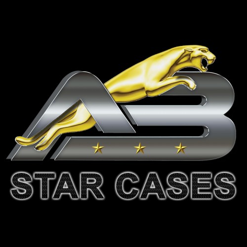 abstarcase.com Image