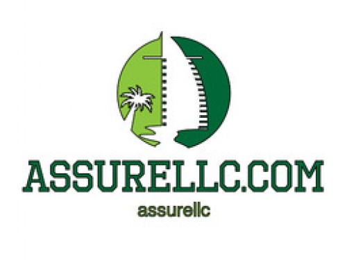 assurellc.com Image