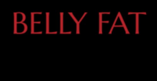 bellyfattoflat.com Image