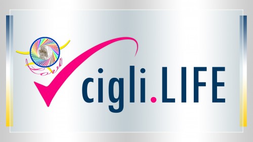 cigli.life Image