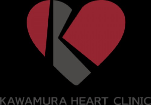 kawamura-heart.com Image