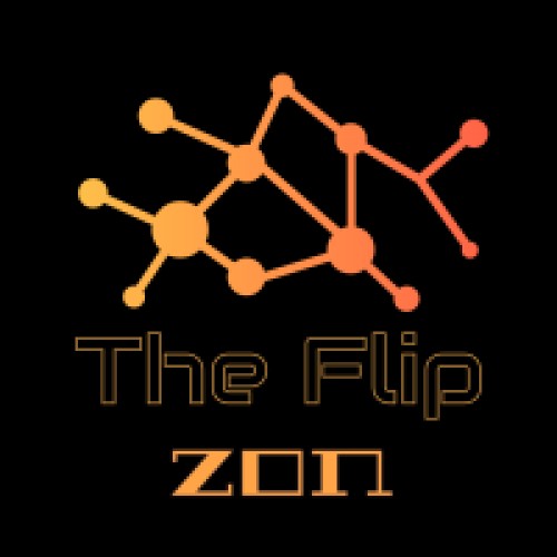 theflipzon.com Image