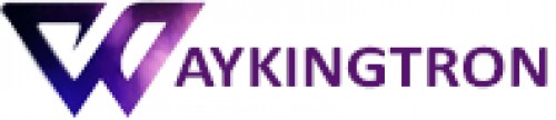 waykingtron.com Image