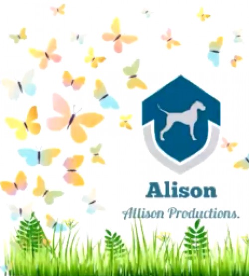 alisonprod.com Image