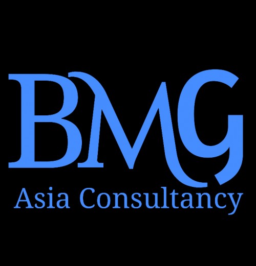 bmgasiaconsultancy.com Image