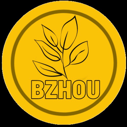 bzhoucoin.info Image