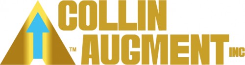 collinaugment.com Image