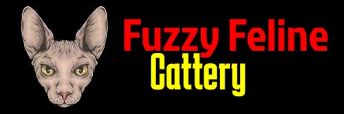 fuzzy-feline-cattery.com Image