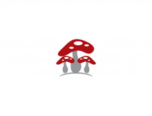 mushroomsonlineshop.com Image