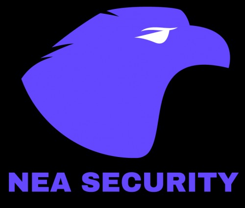 nea-security.com Image