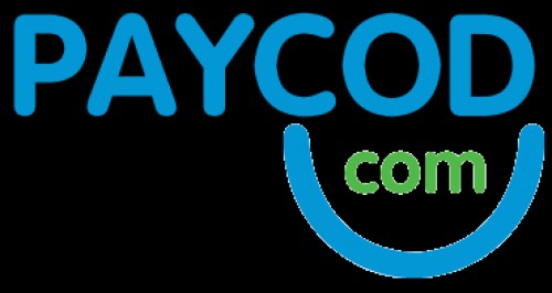 paycodedg.com Image