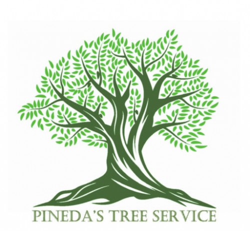 pinedastreeservices.com Image