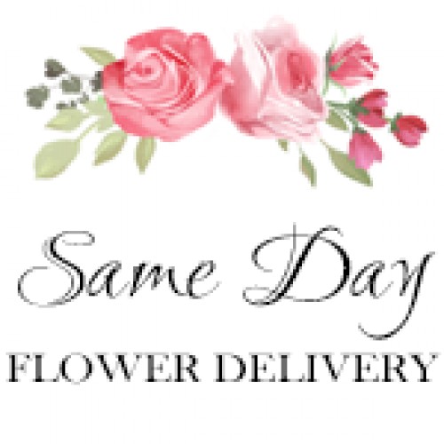 samedayflowerdeliveryco.com Image