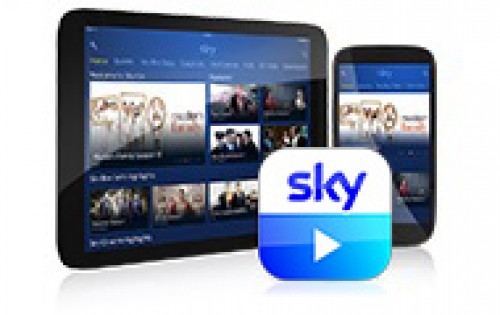 skymobile-services.com Image