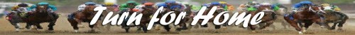 turnforhomehorseracinggame.com Image