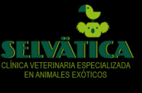 veterinarioexoticosvalencia.com Image