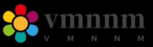 vmnnm.com Image