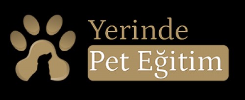 yerindepetegitim.com Image