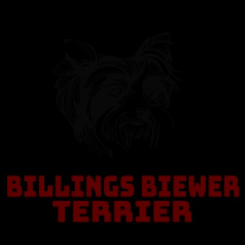 billingsbiewerterriers.com Image