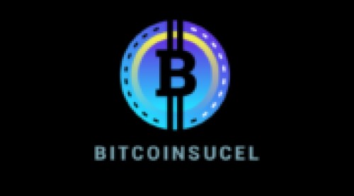 bitcoinsucels.com Image