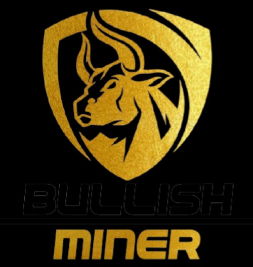 bullishminer.com Image