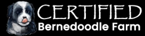 certifiedbernedoodlefarm.com Image