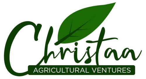 christaagroup.com Image