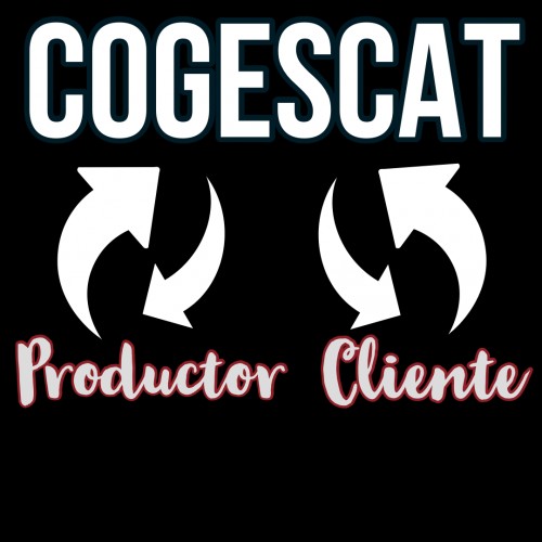 cogescat.com Image