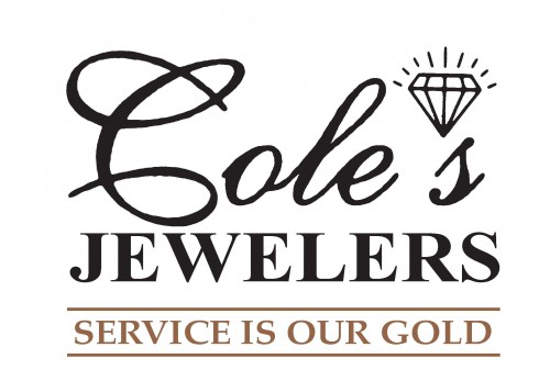 colesjewelersnmb.com Image