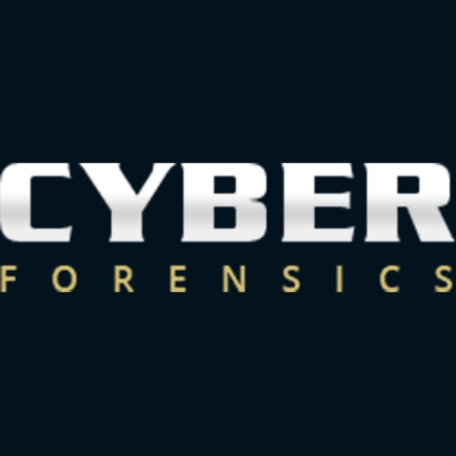 cyber-forensics.net Image