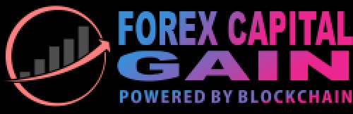 forexcapitalgain.com Image