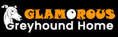 glamorousgreyhoundhome.com Image