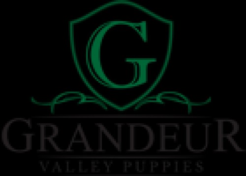 grandeurvalleypuppies.com Image