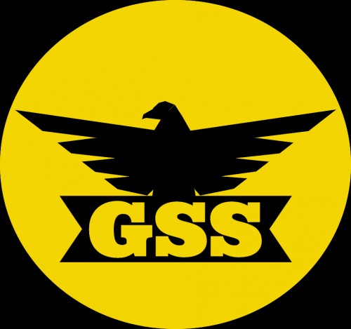 gssbit.com Image