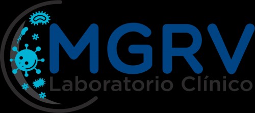 laboratoriomgrv.com Image