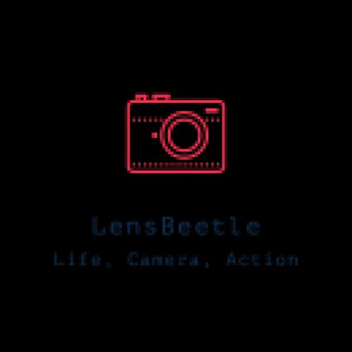 lensbeetle.com Image