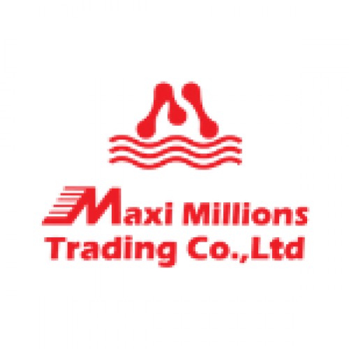 maximillionsgroup.com Image