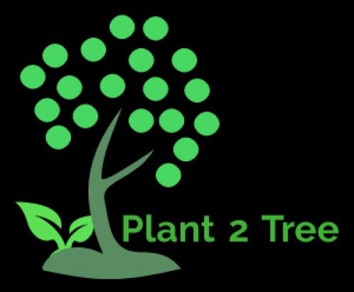 planttotree.com Image