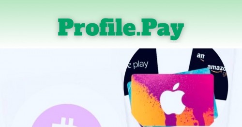 profilepay.net Image