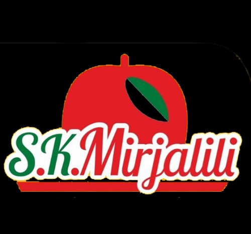 skmirjalili.com Image