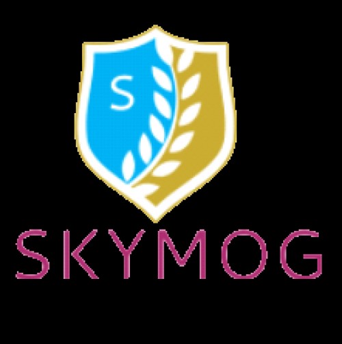 skymoginvestments.com Image