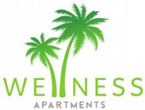 wellnessapartments.info Image